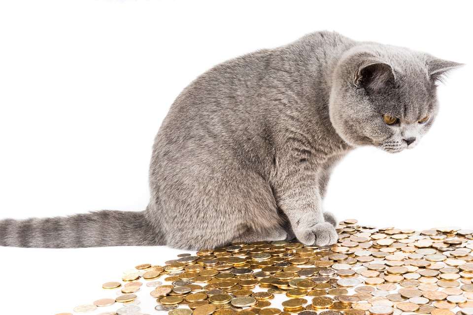 counting_money